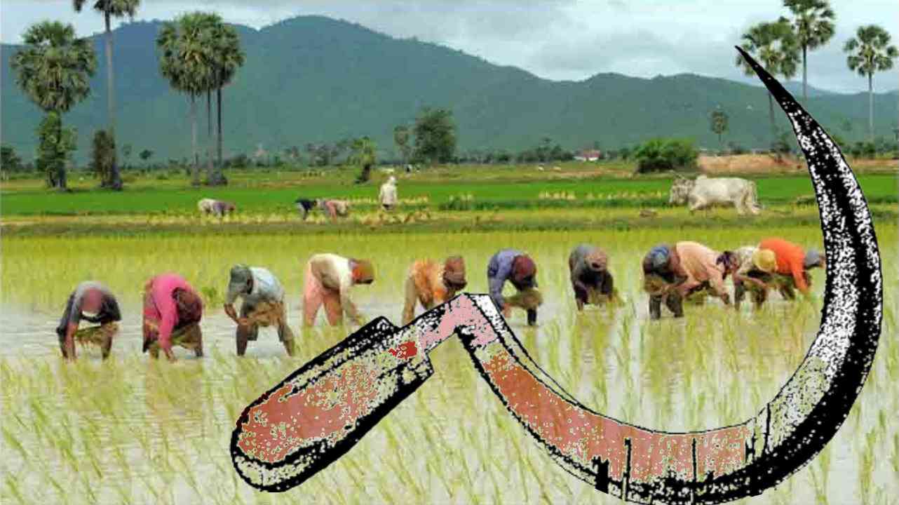 সারা ভারত কৃষি ও গ্রামীণ মজুর সমিতির ডাকে দেশজুড়ে প্রচার অভিযান হরতাল কর্মসুচি সফল করুন