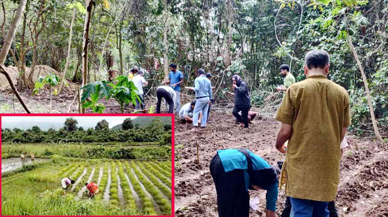 বিকল্প খামার গড়ার লড়াই