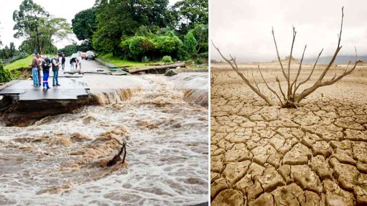 রাজ্যের বিভিন্ন প্রতিরোধ আন্দোলন একত্রিত হল পরিবেশ অধিকার গণকনভেনশন