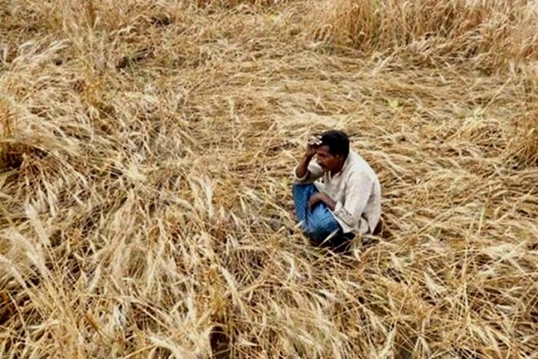 কৃষকের এ মৃত্যু-মিছিলের কারণ শাসকশ্রেণীর নির্দয় নীতি