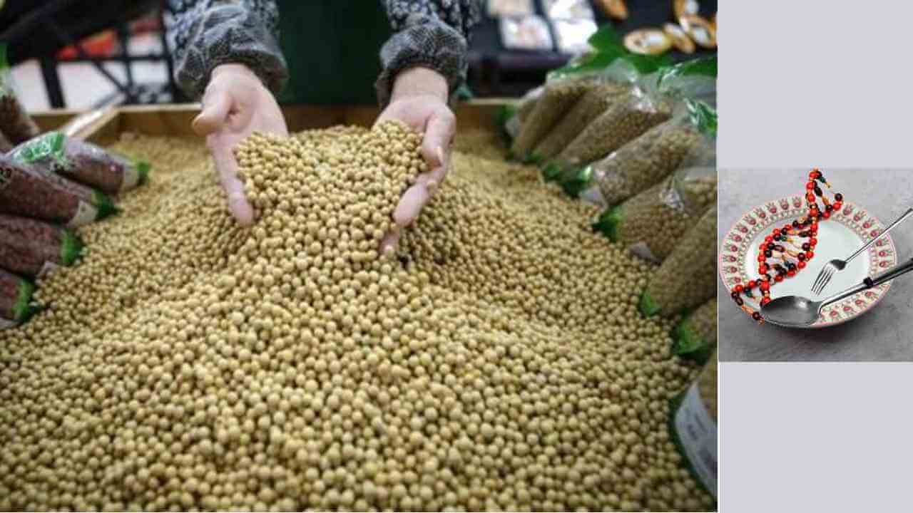 জেনেটিক্যালি মডিফায়েড (জিএম) খাবার সংক্রান্ত খসড়া বিধিমালা প্রসঙ্গে মুখ্যমন্ত্রীর কাছে আবেদন
