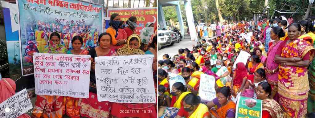 হুগলির চারটি ব্লকে আদিবাসী অধিকার ও বিকাশ মঞ্চের সমাবেশ