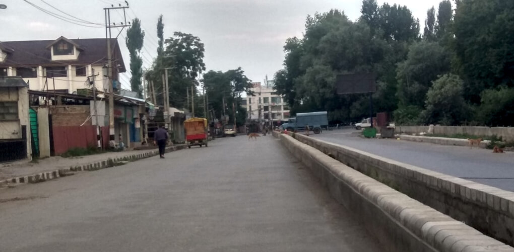 কাশ্মীর প্রসঙ্গে কিছু সহজ তথ্য ও সত্য