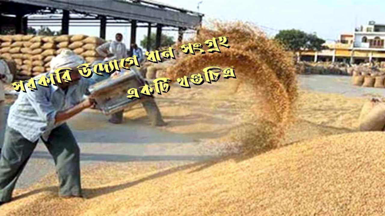 সরকারি উদ্যোগে ধান সংগ্রহ : একটি খণ্ডচিত্র